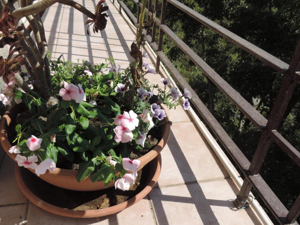 B&B Sa Manta Sassari Dış mekan fotoğraf